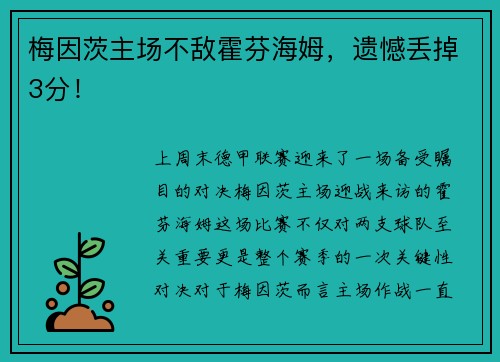 梅因茨主场不敌霍芬海姆，遗憾丢掉3分！