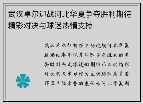 武汉卓尔迎战河北华夏争夺胜利期待精彩对决与球迷热情支持